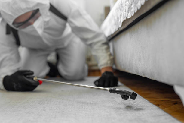 Professional Bed Bug Control technician working in Columbiana, OH