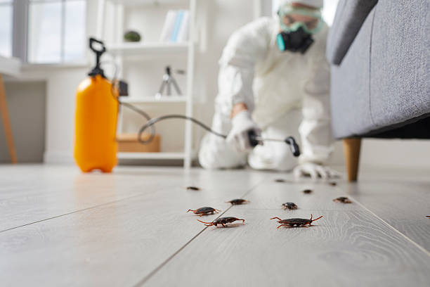 Trusted Cockroach Control service in Columbiana, OH - Nex Pest Control