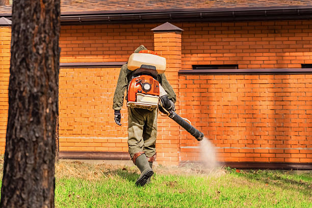 Trusted Bed Bug Control service in Columbiana, OH - Nex Pest Control